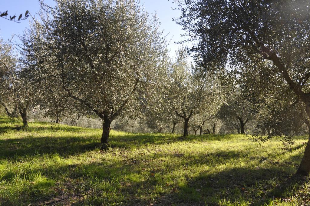 Podere Le Monache Montaione Exterior photo