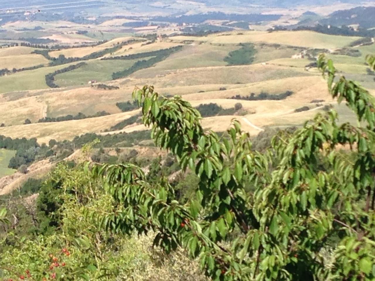 Podere Le Monache Montaione Exterior photo
