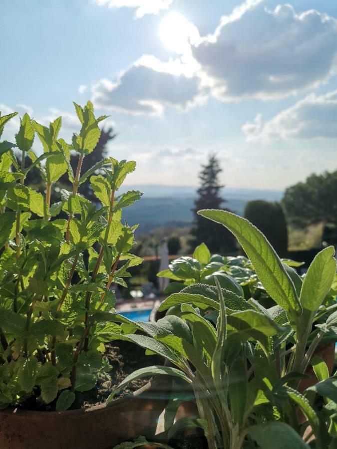 Podere Le Monache Montaione Exterior photo